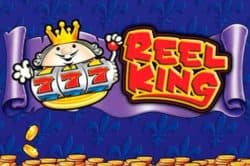 Reel King Slot
