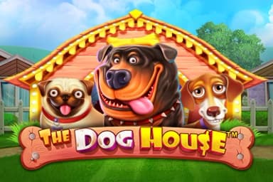 Slot The Dog House